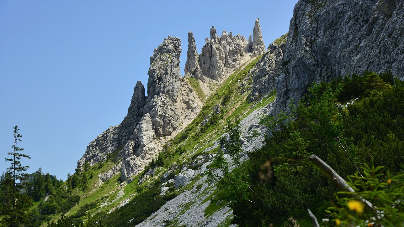 Im Ammergebirge Nähe Kenzenhütte